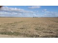terrain-agricole-nouvellement-equipe-27-ha-small-0