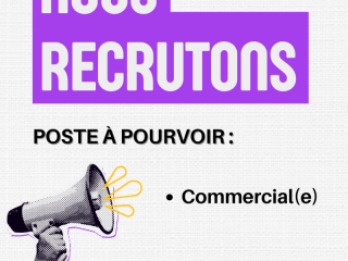 Commercial(e) Freelance