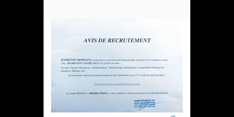 cherchons-des-profils-differents-pour-notre-hotel-hamilton-casablanca-big-0