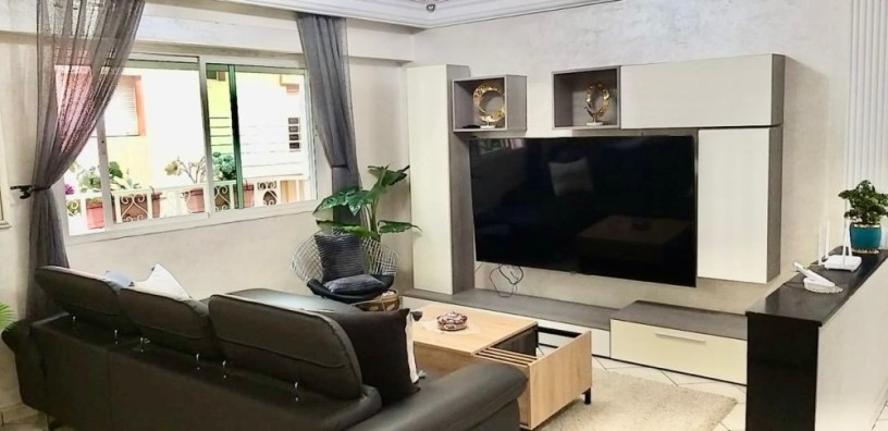 appartement-spacieux-renove-et-idealement-situe-big-3