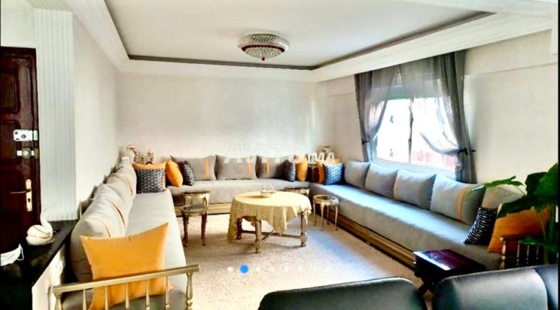 appartement-spacieux-renove-et-idealement-situe-big-1