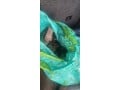 divers-pieces-15-dci-renault-small-1
