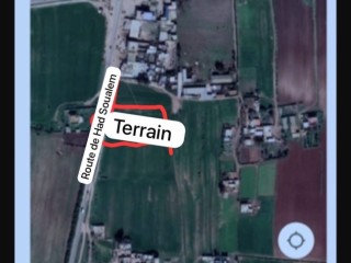 À vendre : Terrain titré de 2 600 m² entre Sidi Rahal et Had Soualem (Maroc)