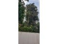 a-vendre-villa-familiale-hay-salam-sale-maroc-small-4