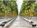 cherche-emploi-chef-de-projet-hydroponie-indoor-vertical-farming-cea-small-4