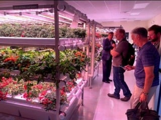 Cherche emploi Chef de projet Hydroponie & Indoor Vertical Farming (CEA)