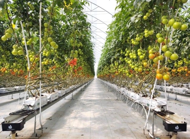 cherche-emploi-chef-de-projet-hydroponie-indoor-vertical-farming-cea-big-4