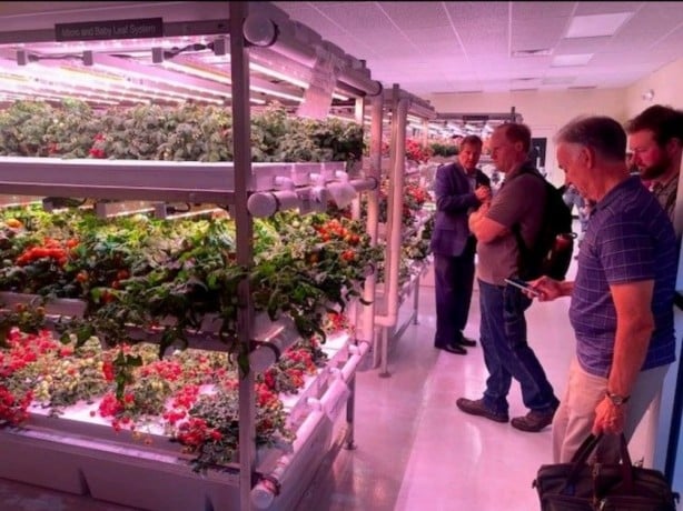 cherche-emploi-chef-de-projet-hydroponie-indoor-vertical-farming-cea-big-0
