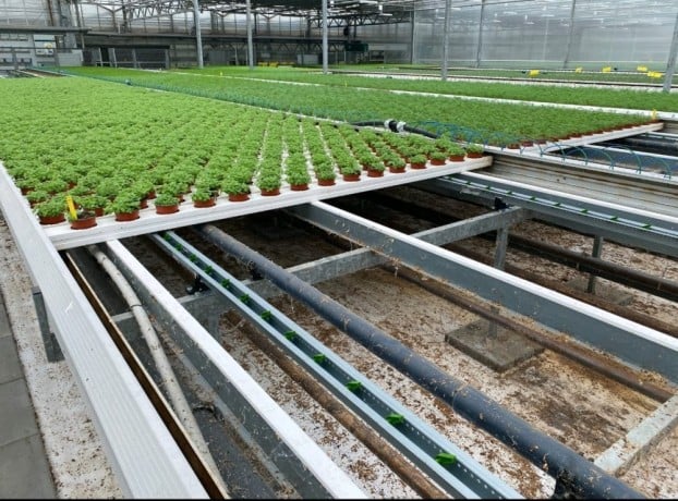 cherche-emploi-chef-de-projet-hydroponie-indoor-vertical-farming-cea-big-3