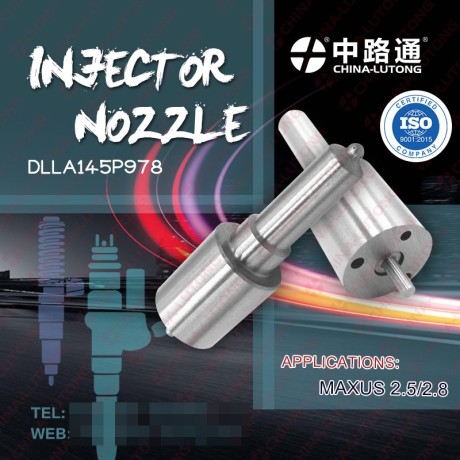 dsla142p1474-pour-pointe-dinjecteur-bosch-big-0