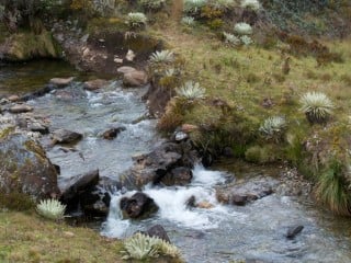 Vente terrain titré à Sebaâ aïyoune commerce et habitat