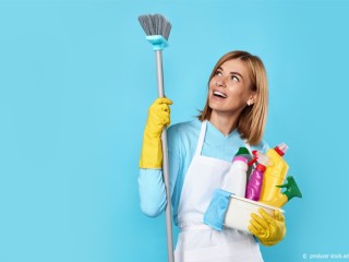 Nounou et aide ménagère