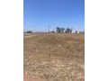 terrain-a-vendre-a-20km-del-jadida-small-2