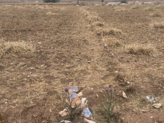 Terrain a vendre a 20km d'el jadida