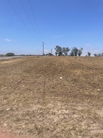 terrain-a-vendre-a-20km-del-jadida-big-2