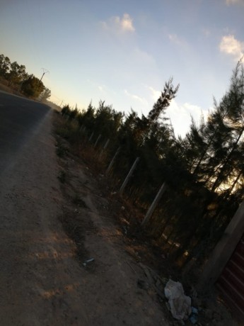 ard-llbyaa-msgl-o-mhfth-big-1