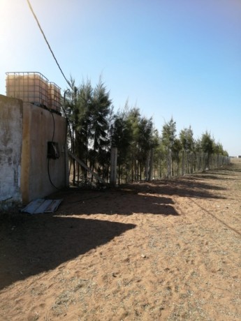 ard-llbyaa-msgl-o-mhfth-big-3