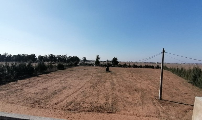 ard-llbyaa-msgl-o-mhfth-big-2