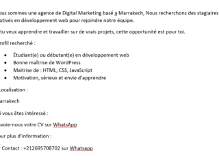 Offre de Stage Développement Web