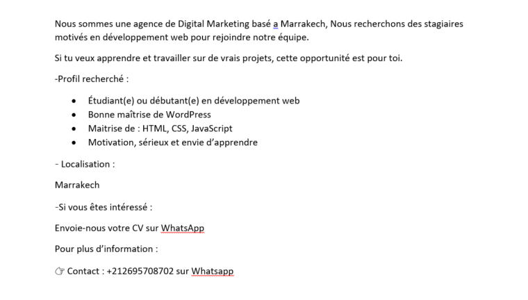 offre-de-stage-developpement-web-big-0