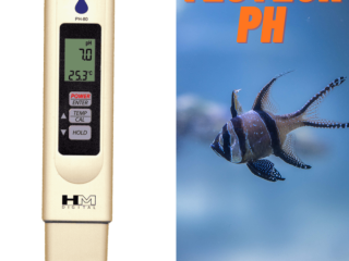 Testeur pH Pro Commandez Maintenant