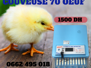 فقاسة بيض أوتوماتيك 70 بيضة جودة عالية مضمونة بدقة عالية