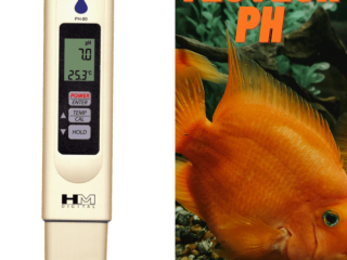 PH-Mètre Haute Précision Disponible Aujourdhui