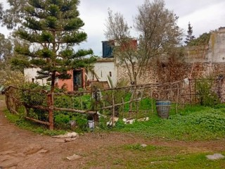 Vendre où louer ferme