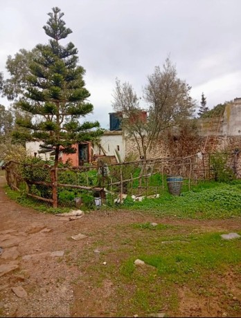 vendre-ou-louer-ferme-big-0