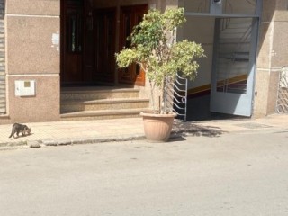 Appartement a louer sur maarif extension