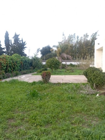 a-vendre-maison-a-souissi-big-1